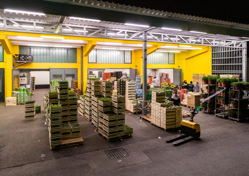 Viele Kisten vor einer Lagerhalle