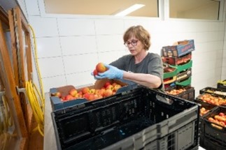 Person beim Sortieren von Obst