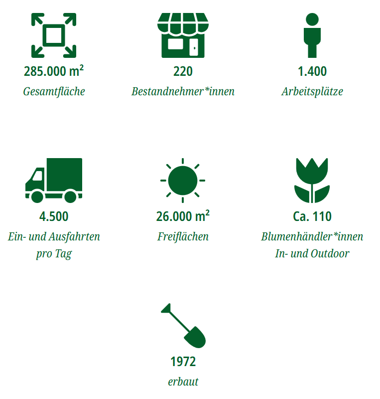 Infografik zu ein paar Zahlen:
Gesamtfläche: 285.000m²
Bestandnehmer*innen: 220
Arbeitsplätze: 1.400
Ein- und Ausfahrten pro Tag: 4.500
Freiflächen: 26.000m²
Blumenhänlder*innen: ca 110
Erbaut: 1972